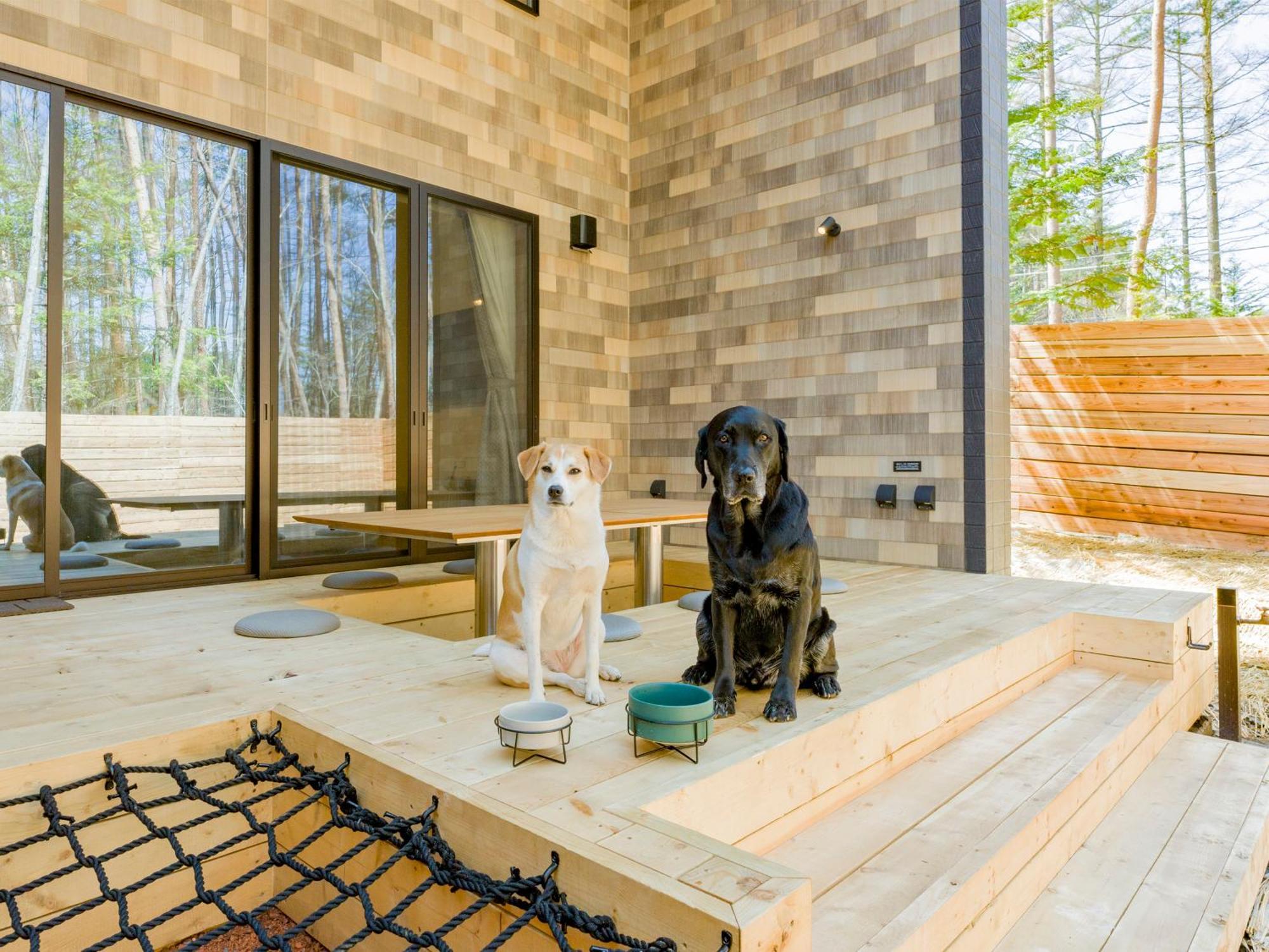 Rakuten Stay Villa Fujikawaguchiko Forest 外观 照片